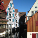 IMG_5554.JPG