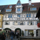 IMG_5555.JPG