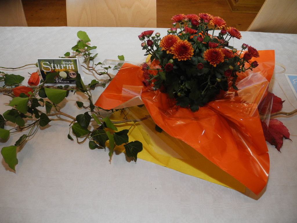 DSCN9868_JPG-1318779343