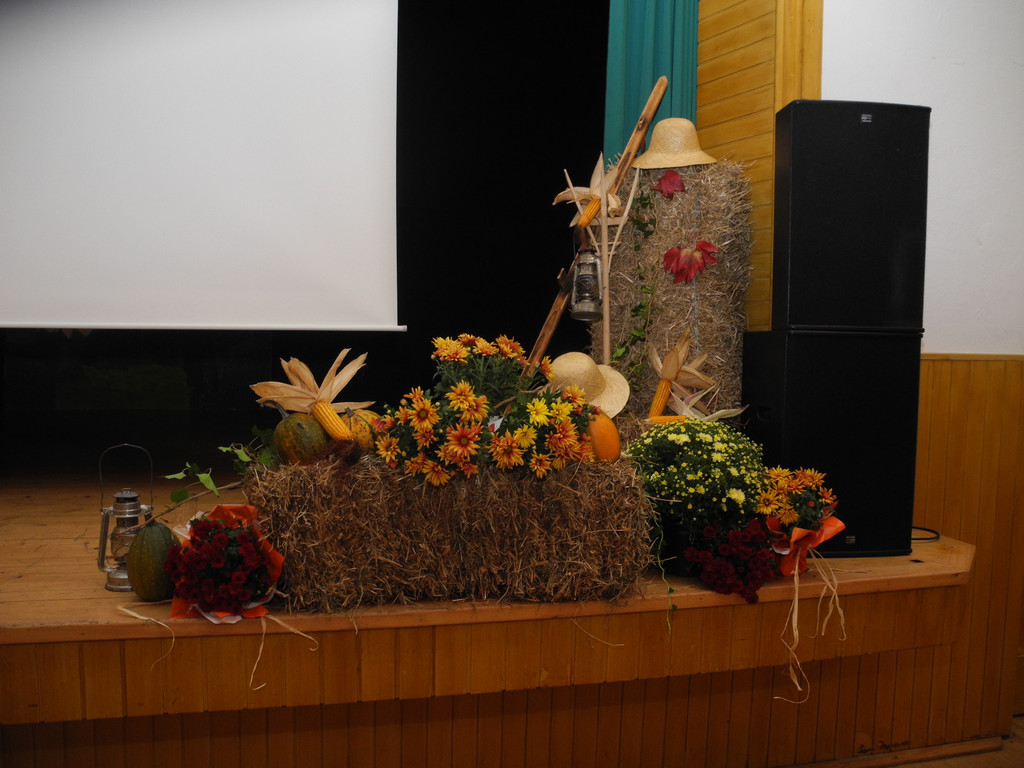 DSCN9869_JPG-1318779356