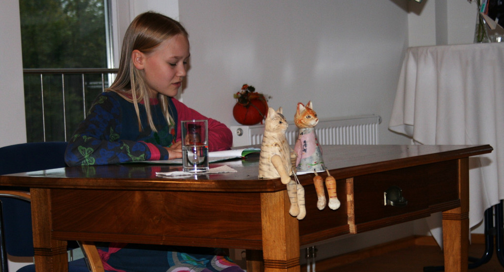 IMG_0045_JPG-1318784006