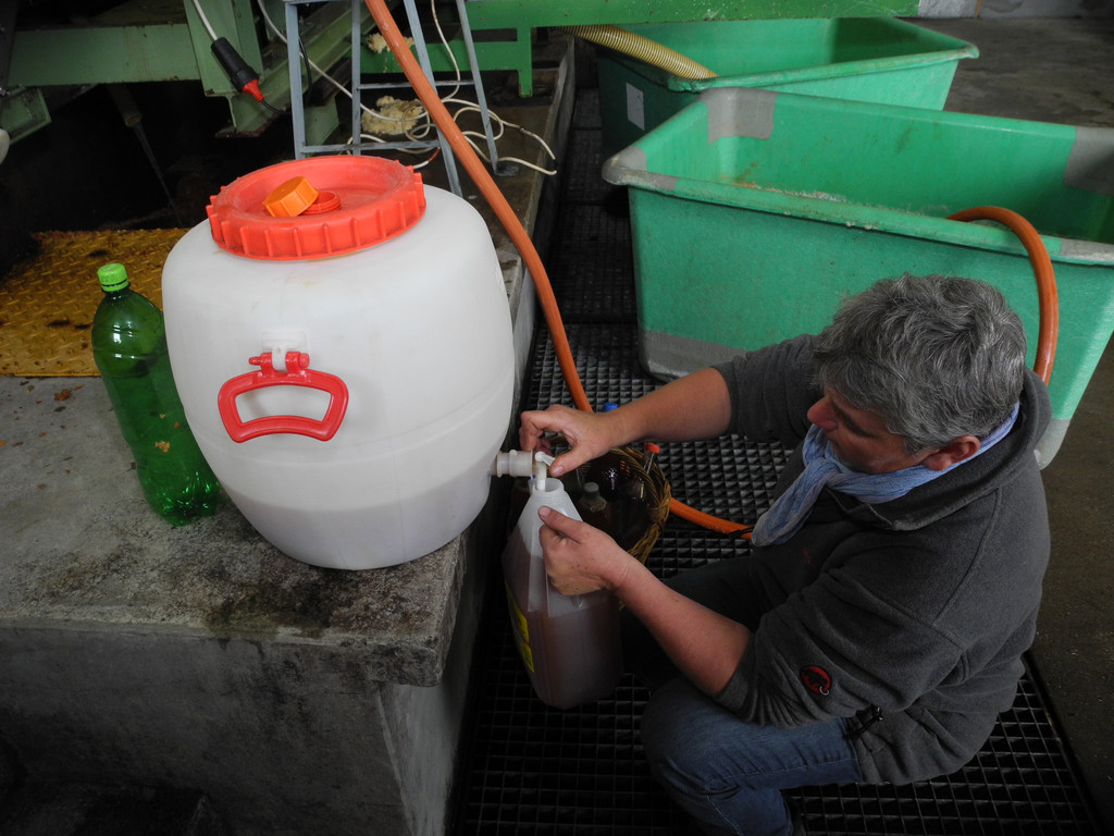 DSCN0190_JPG-1318786242