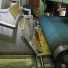 DSCN0202_JPG-1318786331