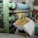 DSCN0203_JPG-1318786344