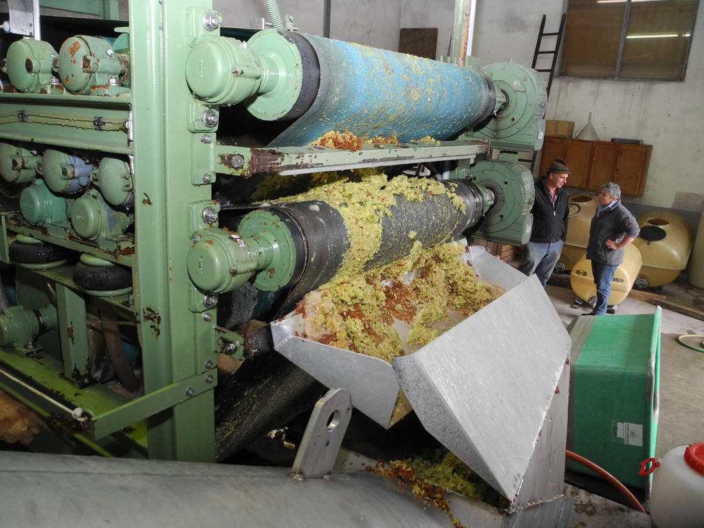 DSCN0203_JPG-1318786344