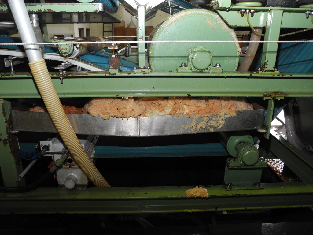 DSCN0204_JPG-1318786356