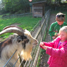 BK_wildpark_FK 10_jpg-1318800569