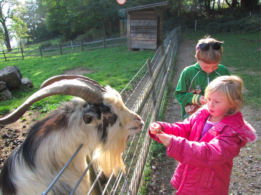 BK_wildpark_FK 10_jpg-1318800569