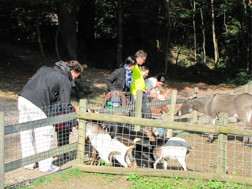 BK_wildpark_FK 11_jpg-1318800572