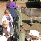 BK_wildpark_FK 12_jpg-1318800576