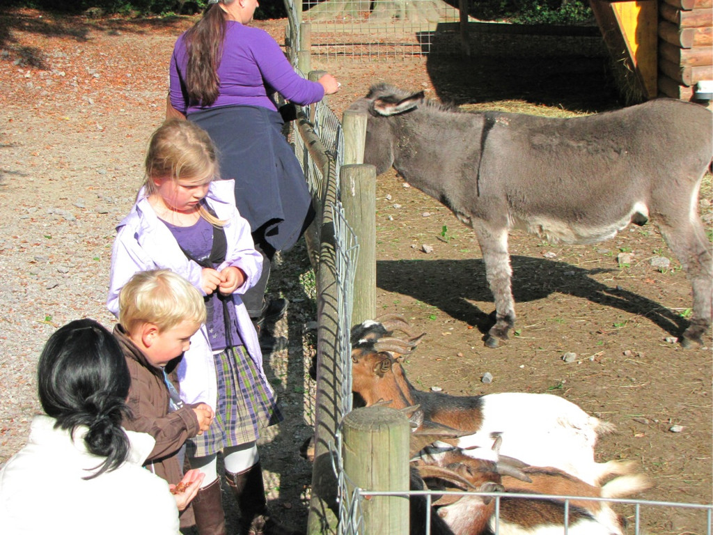 BK_wildpark_FK 12_jpg-1318800576