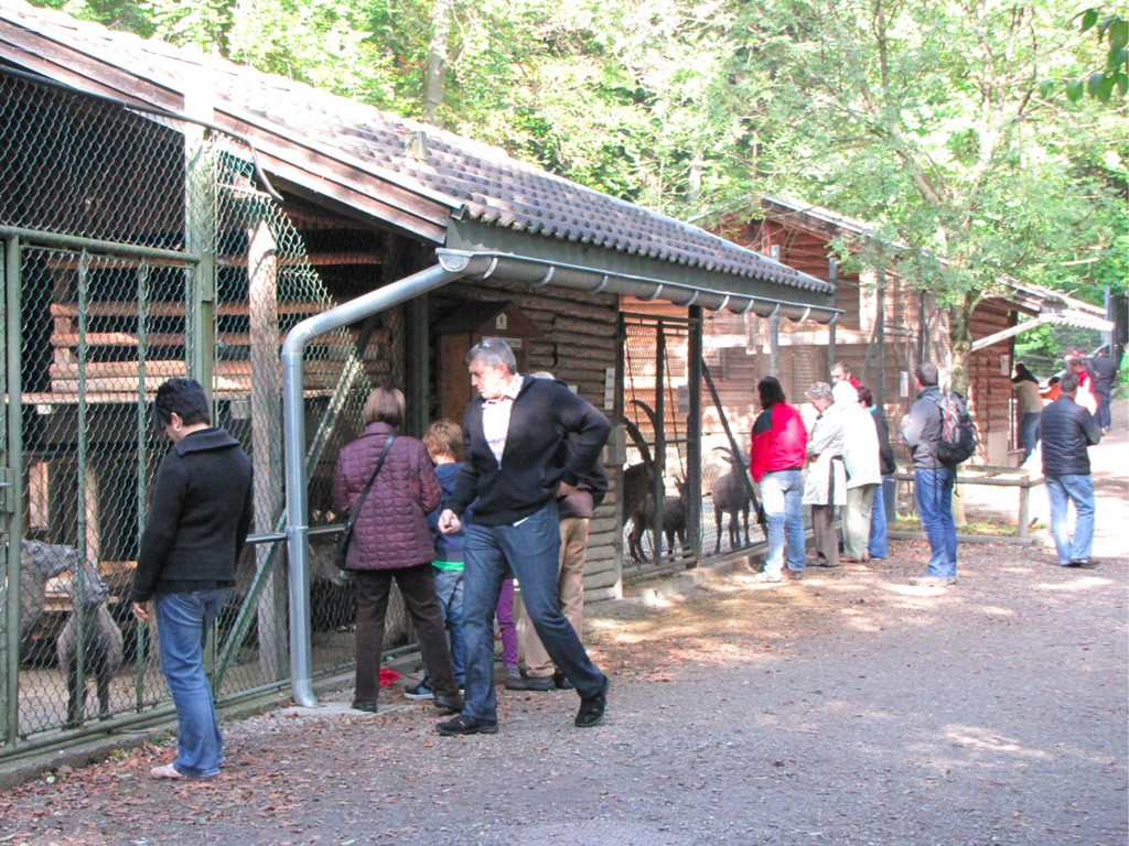 BK_wildpark_FK 13_jpg-1318800581