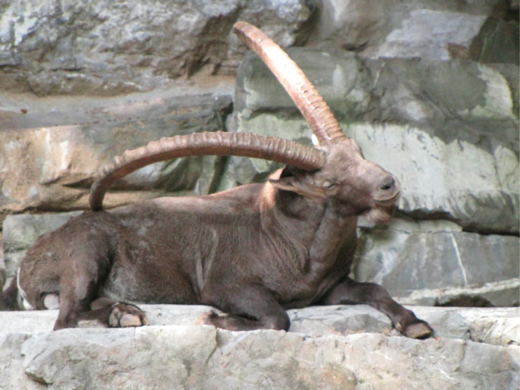 BK_wildpark_FK 14_jpg-1318800587