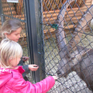 BK_wildpark_FK 15_jpg-1318800591