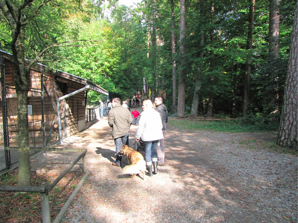 BK_wildpark_FK 16_jpg-1318800595