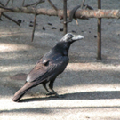 BK_wildpark_FK 17_jpg-1318800598