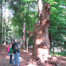 BK_wildpark_FK 25_jpg-1318800632