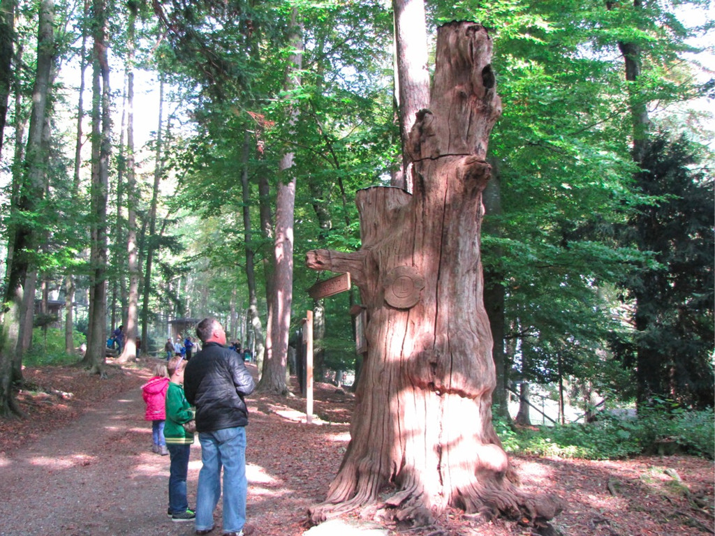 BK_wildpark_FK 25_jpg-1318800632