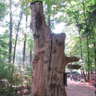 BK_wildpark_FK 27_jpg-1318800640