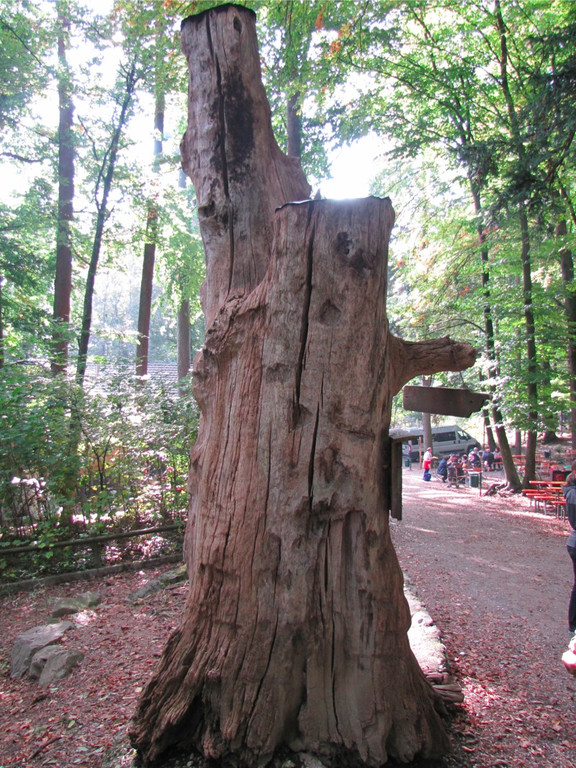 BK_wildpark_FK 27_jpg-1318800640