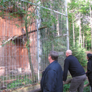 BK_wildpark_FK 32_jpg-1318800659