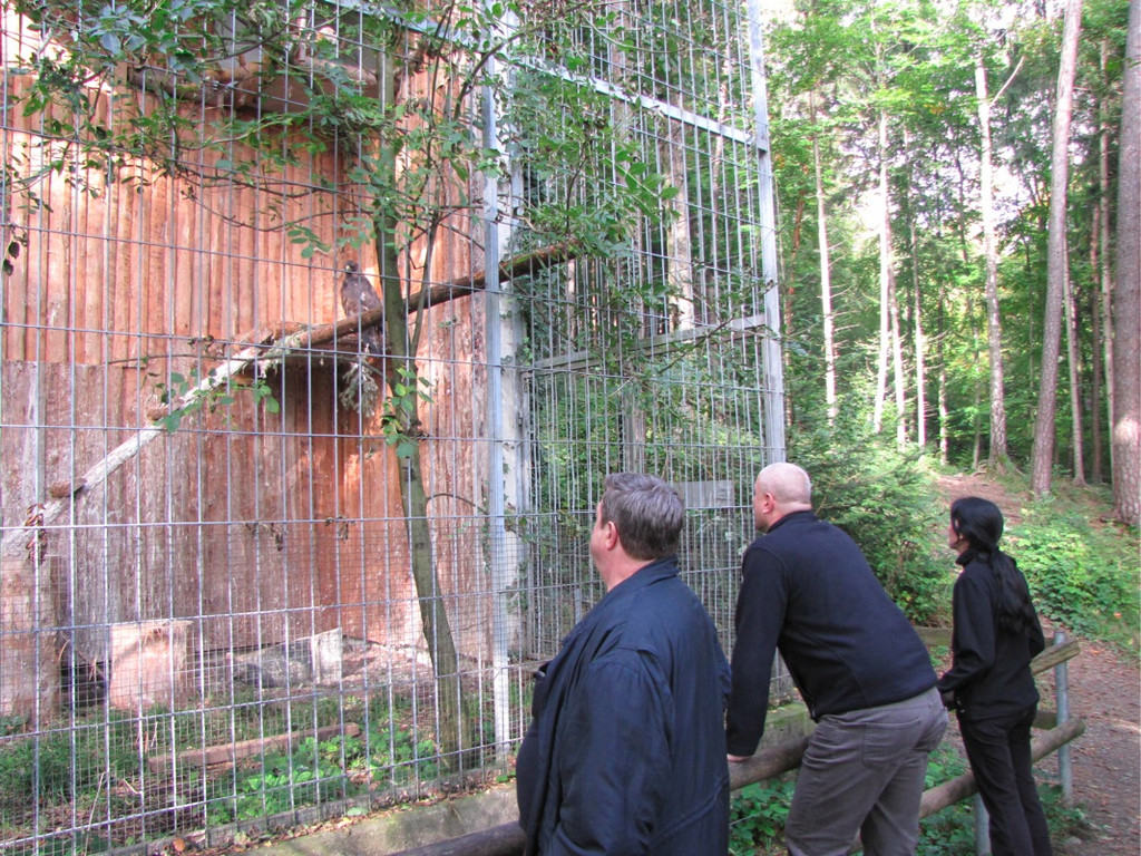 BK_wildpark_FK 32_jpg-1318800659