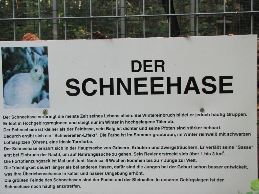 BK_wildpark_FK 39_jpg-1318800684