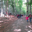 BK_wildpark_FK 40_jpg-1318800689