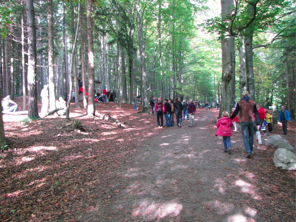 BK_wildpark_FK 40_jpg-1318800689