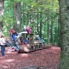 BK_wildpark_FK 42_jpg-1318800697