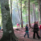 BK_wildpark_FK 44_jpg-1318800705