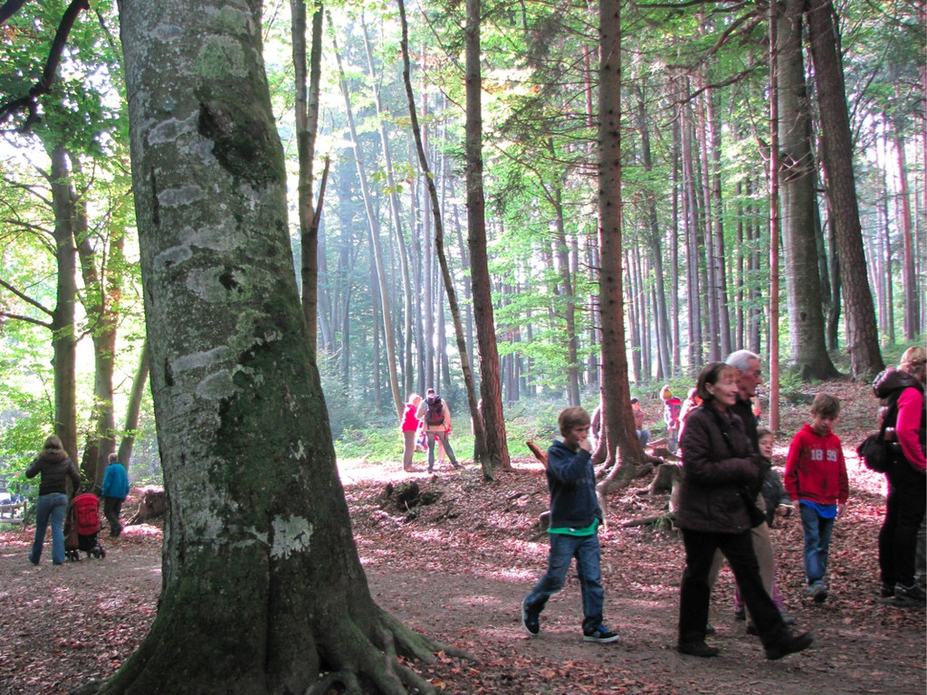 BK_wildpark_FK 44_jpg-1318800705