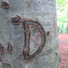 BK_wildpark_FK 53_jpg-1318800741