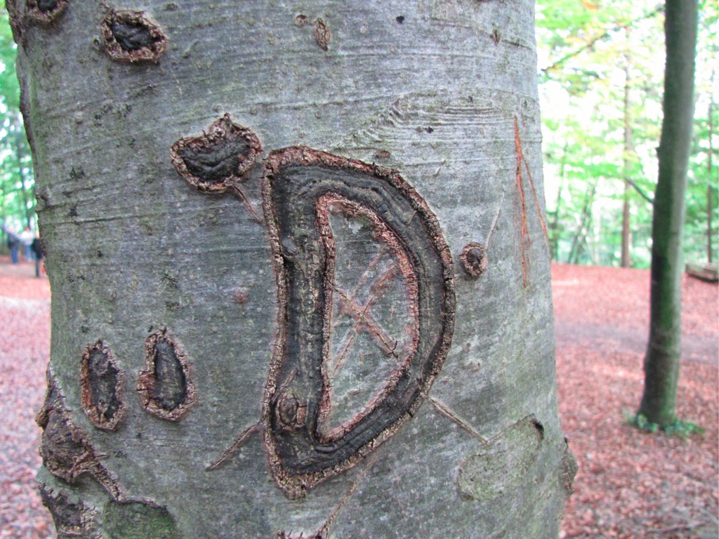 BK_wildpark_FK 53_jpg-1318800741