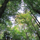 BK_wildpark_FK 54_jpg-1318800746