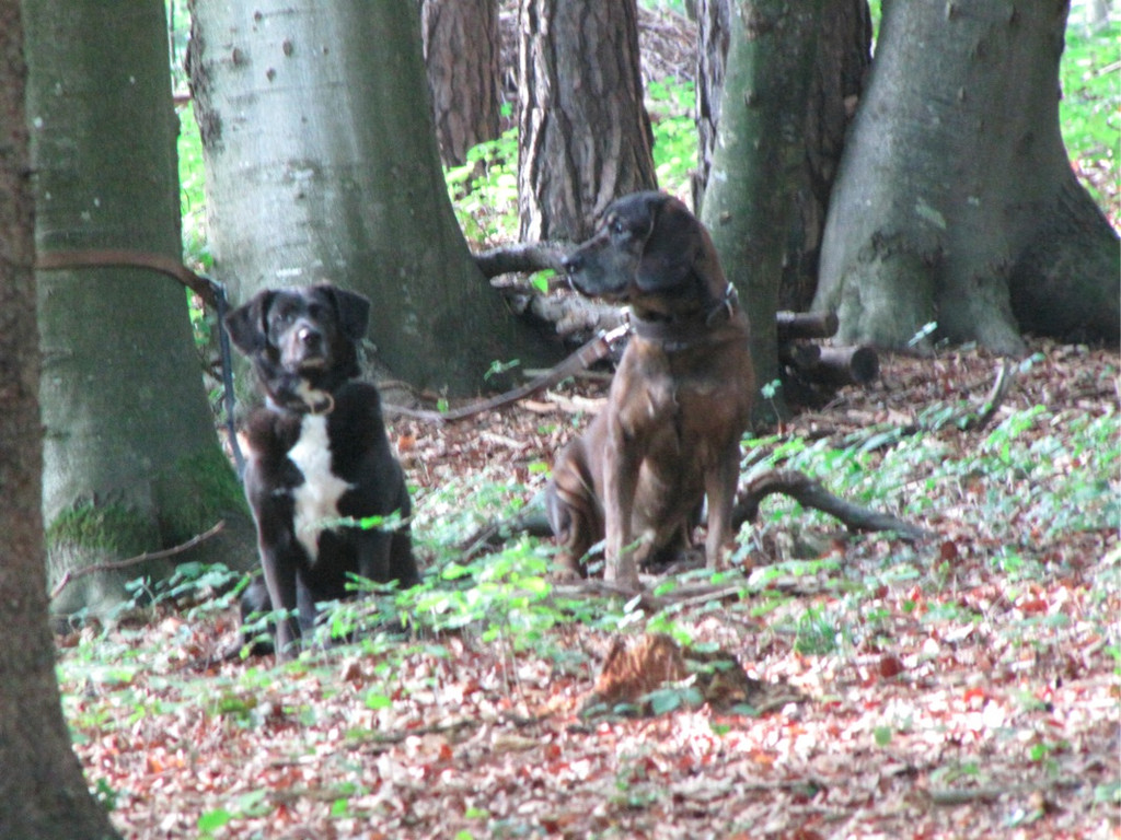 BK_wildpark_FK 56_jpg-1318800754