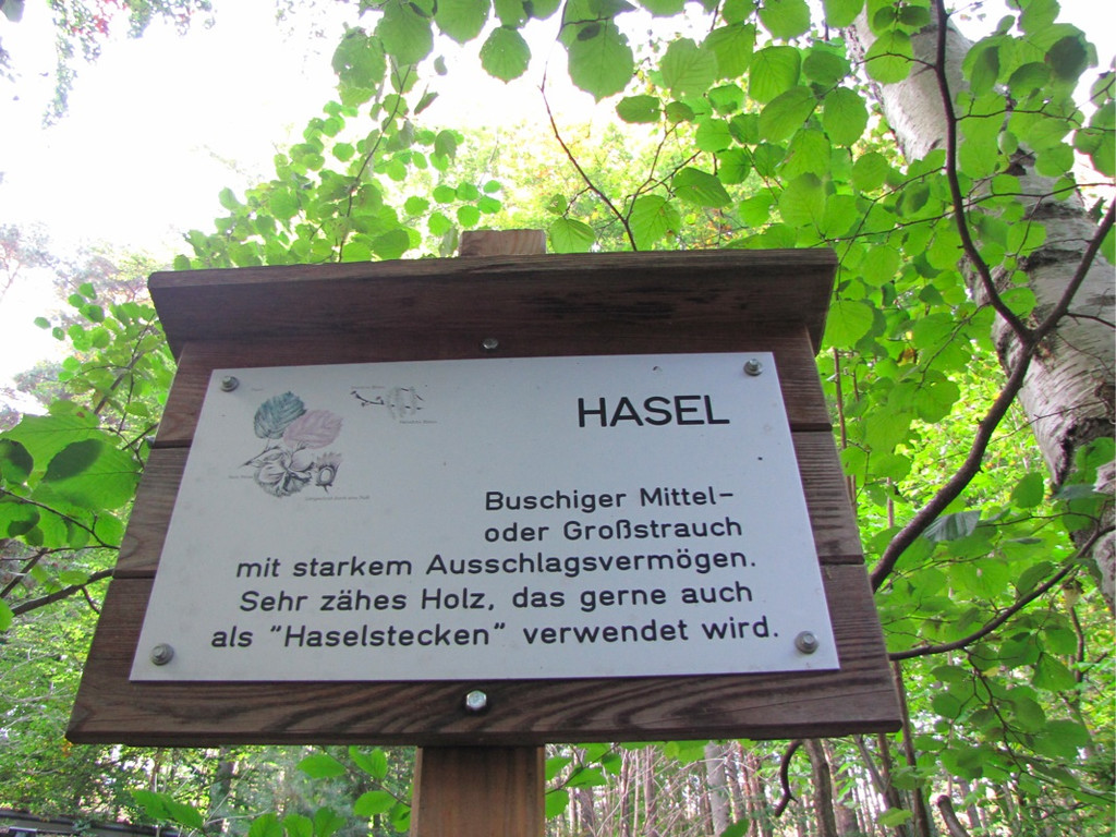 BK_wildpark_FK 57_jpg-1318800757