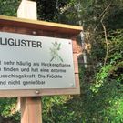 BK_wildpark_FK 61_jpg-1318800781