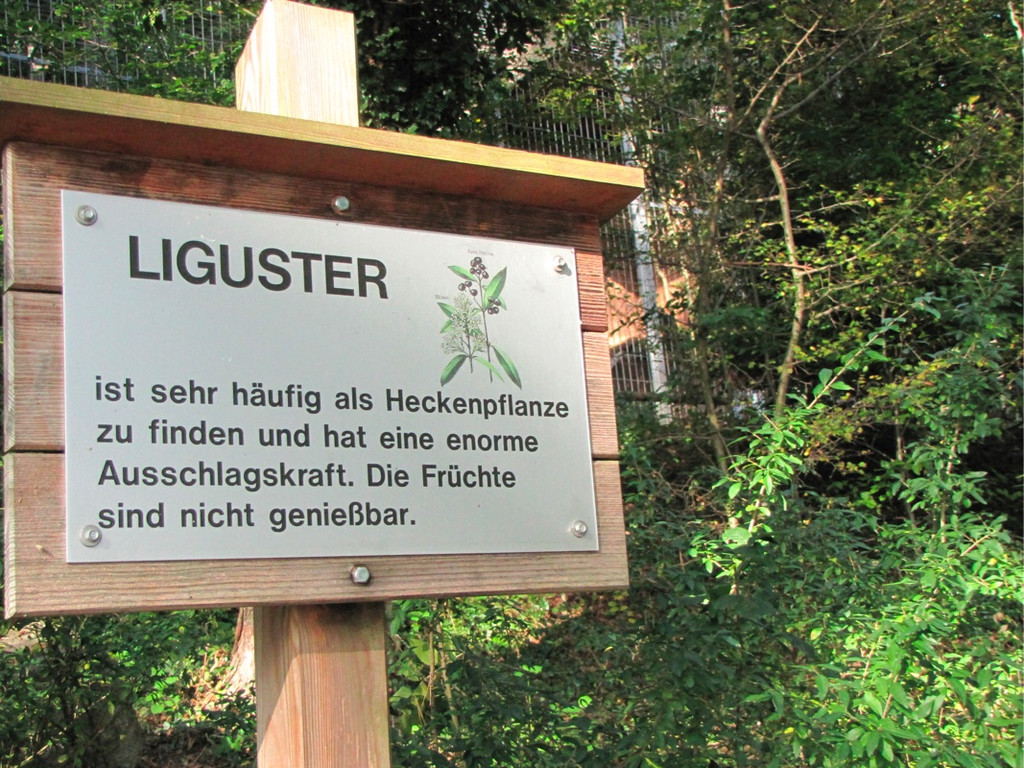 BK_wildpark_FK 61_jpg-1318800781