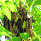 BK_wildpark_FK 62_jpg-1318800784