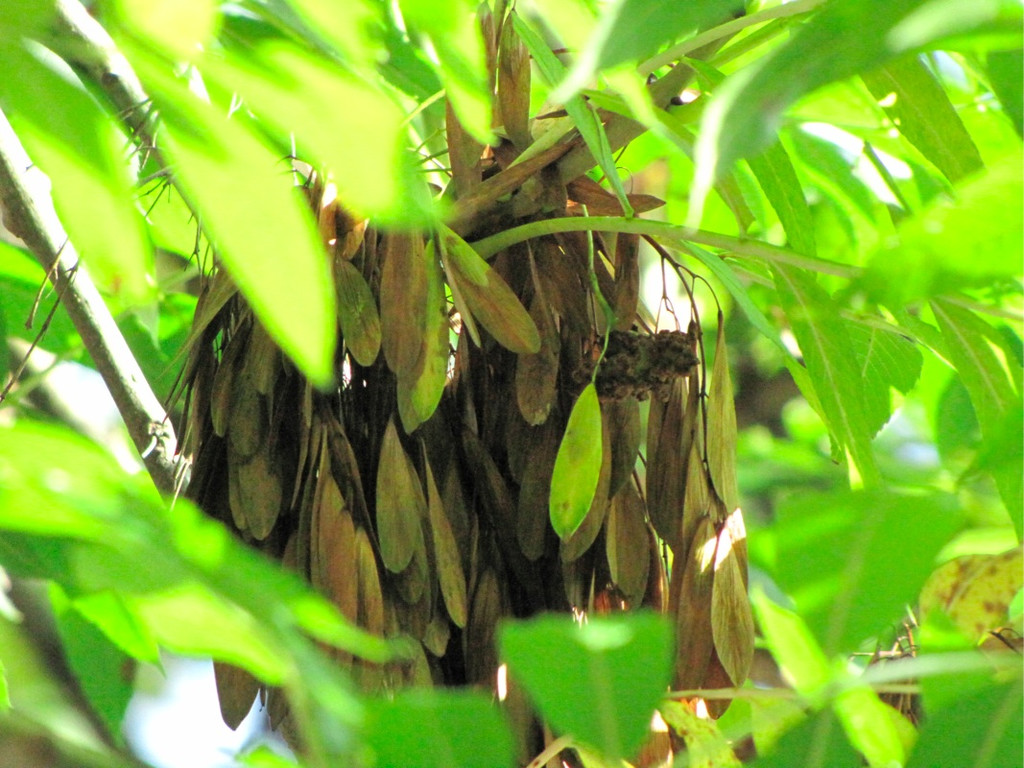 BK_wildpark_FK 62_jpg-1318800784