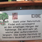 BK_wildpark_FK 65_jpg-1318800793