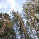 BK_wildpark_FK 70_jpg-1318800814