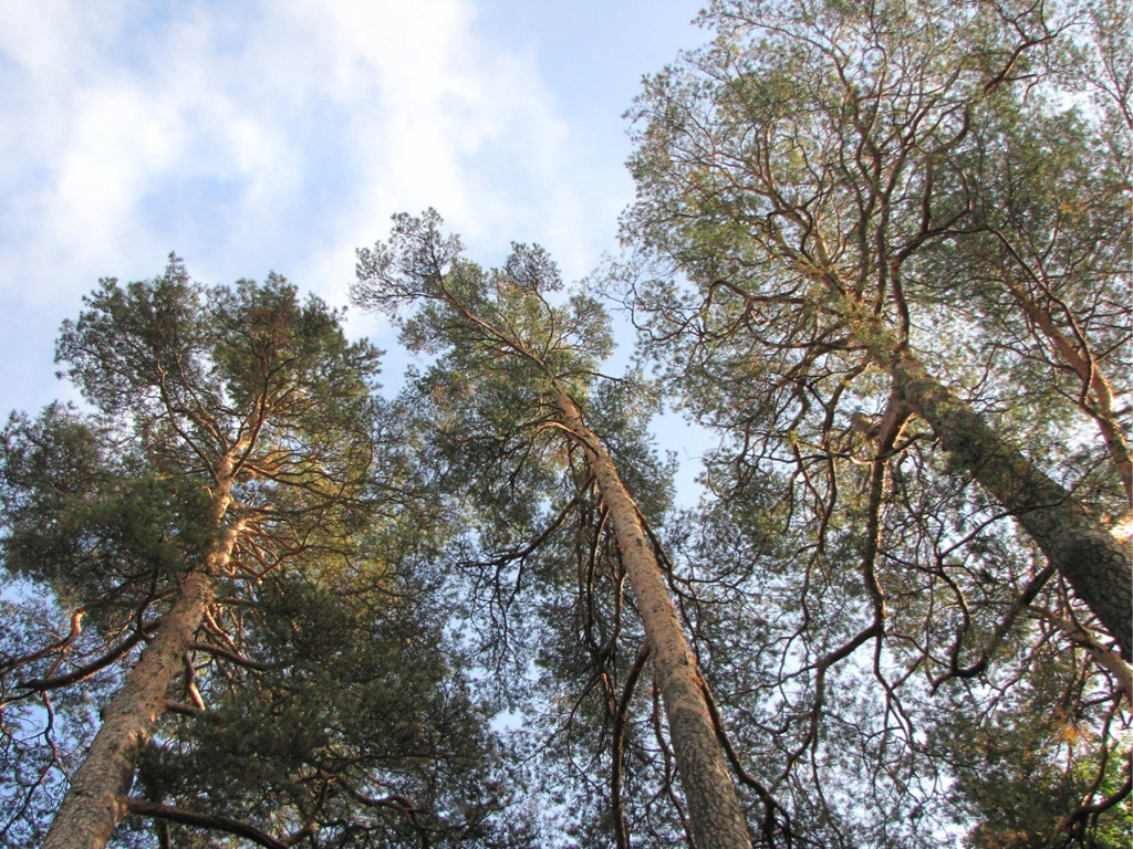 BK_wildpark_FK 70_jpg-1318800814