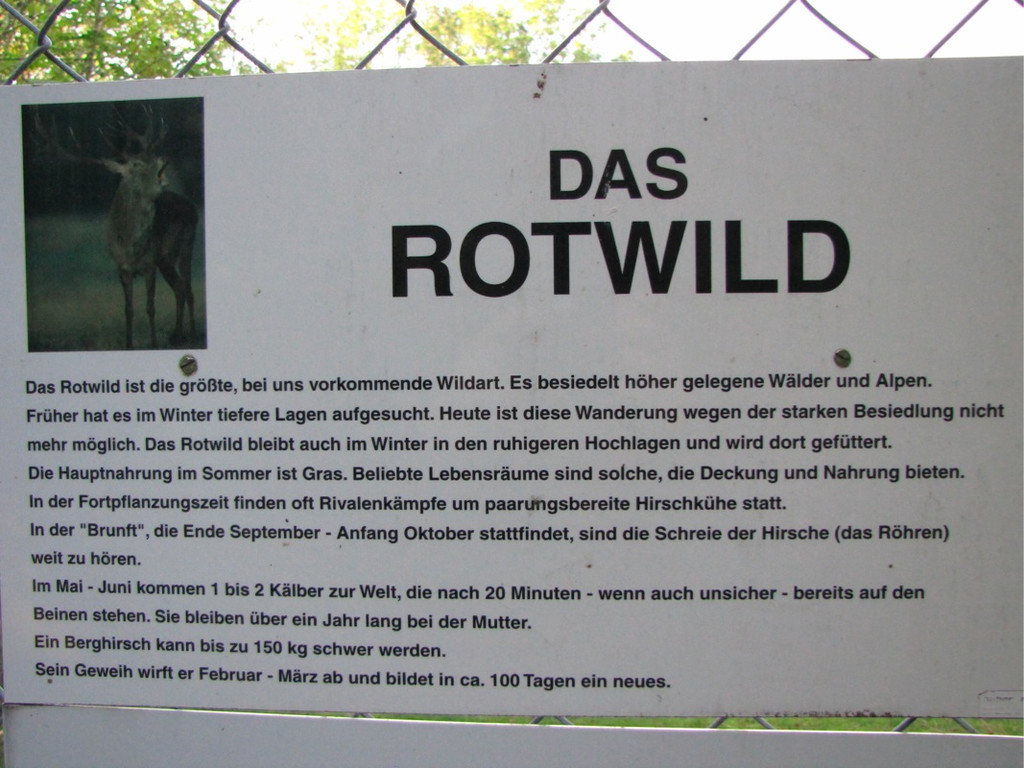 BK_wildpark_FK 86_jpg-1318800878