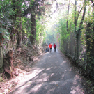 BK_wildpark_FK 87_jpg-1318800883