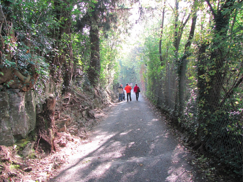 BK_wildpark_FK 87_jpg-1318800883