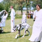 P_Clemens_in_jungen_Jahren_jpg-1318802563