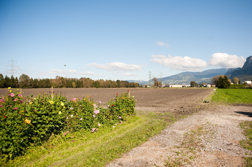 DSC_1403.jpg