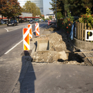DSC05134.JPG